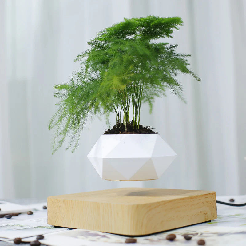 Magnetic Levitation Polygonal Wood Grain Potted Plant